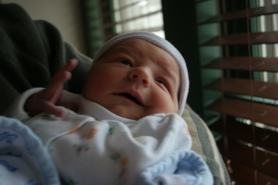 eli_030106.jpg