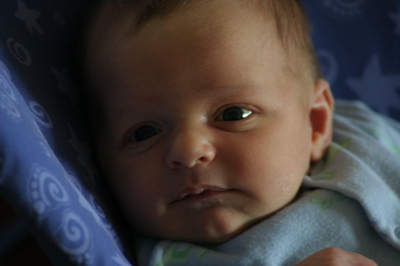 eli_032006.jpg