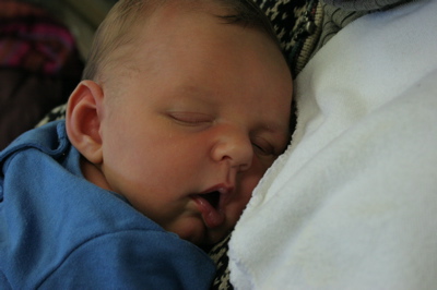 eli_032206.jpg