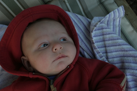 eli_050606.jpg