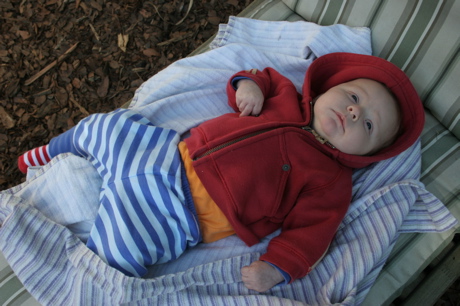 eli_stripes_050606.jpg