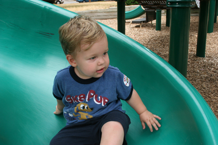 gus_072305_2.jpg
