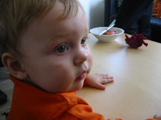 gus_103104.JPG