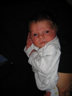 gus_122203.JPG