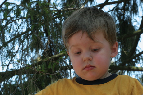gus_4_050706.jpg