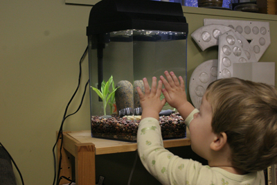 gus_fish_120605.jpg