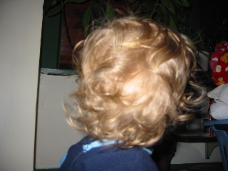 gus_hair_020605.JPG