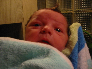 gus_mohawk_121203.JPG