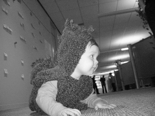 gus_prowling_102904.JPG