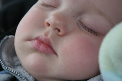 gus_sleeping_051605.jpg