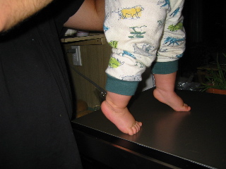 gus_tiptoes_101604.JPG