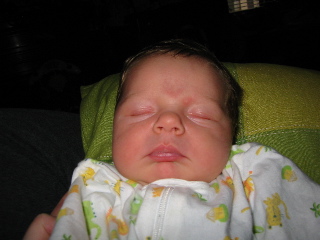 gus_010304.JPG