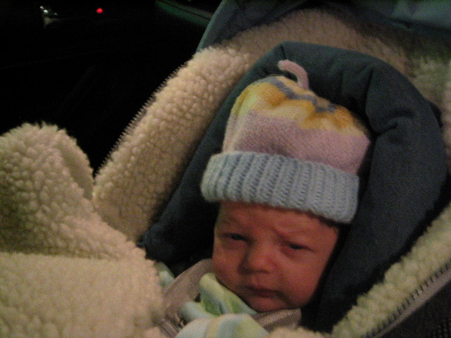 gus_011604.jpg