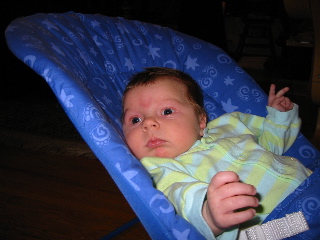 gus_012404.JPG