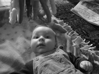 gus_032104.JPG