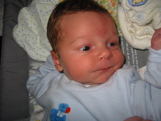 gus_122803.JPG