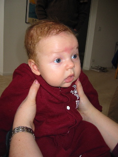 gus_2_031404.JPG