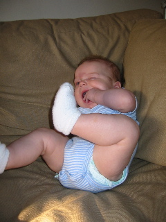 gus_2_040604.JPG