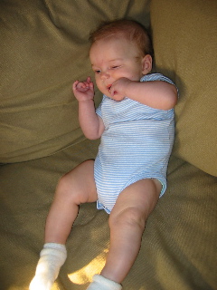 gus_3_040604.JPG