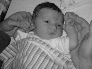 gus_day4_121003.JPG