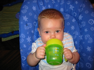 gus_sippy_060604.JPG