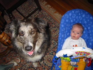 gus_zeppo_041104.JPG