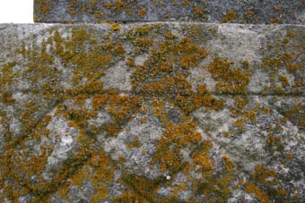 IMG_0693