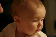 IMG_5348.JPG